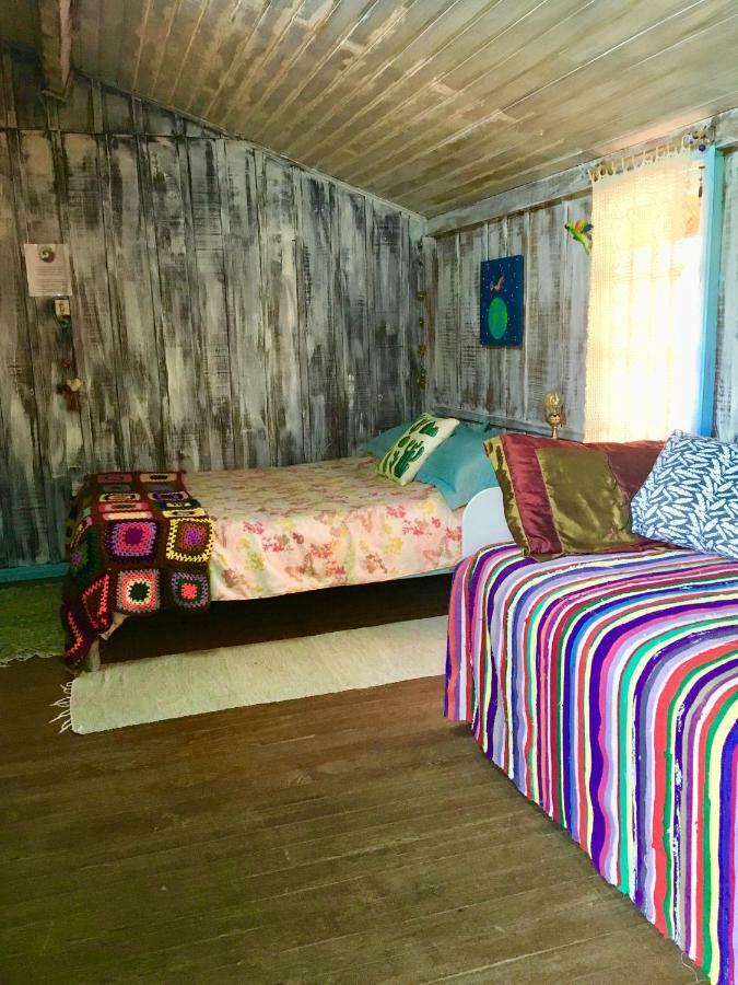 Casahostel Floresce Praia do Rosa Bagian luar foto